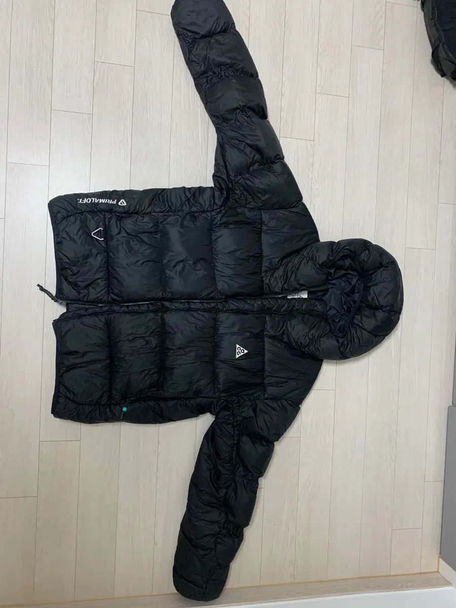 ナイキ acg Lunar Lake ダウン