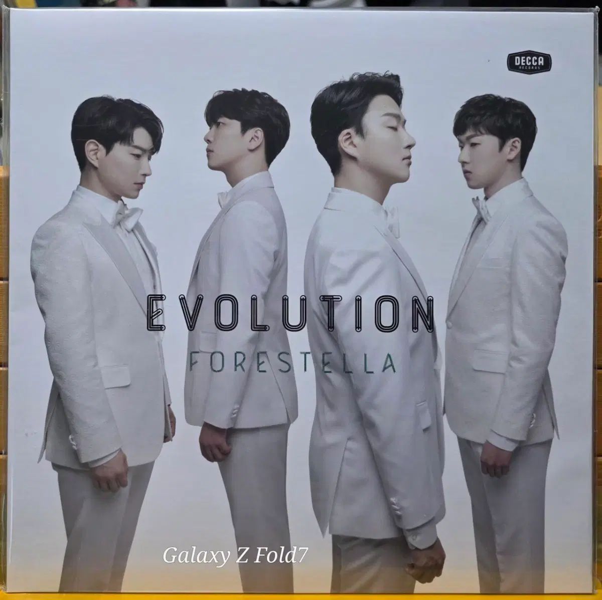 BA ー 793 未開封 Forestella EVOLUTION LP アルバム