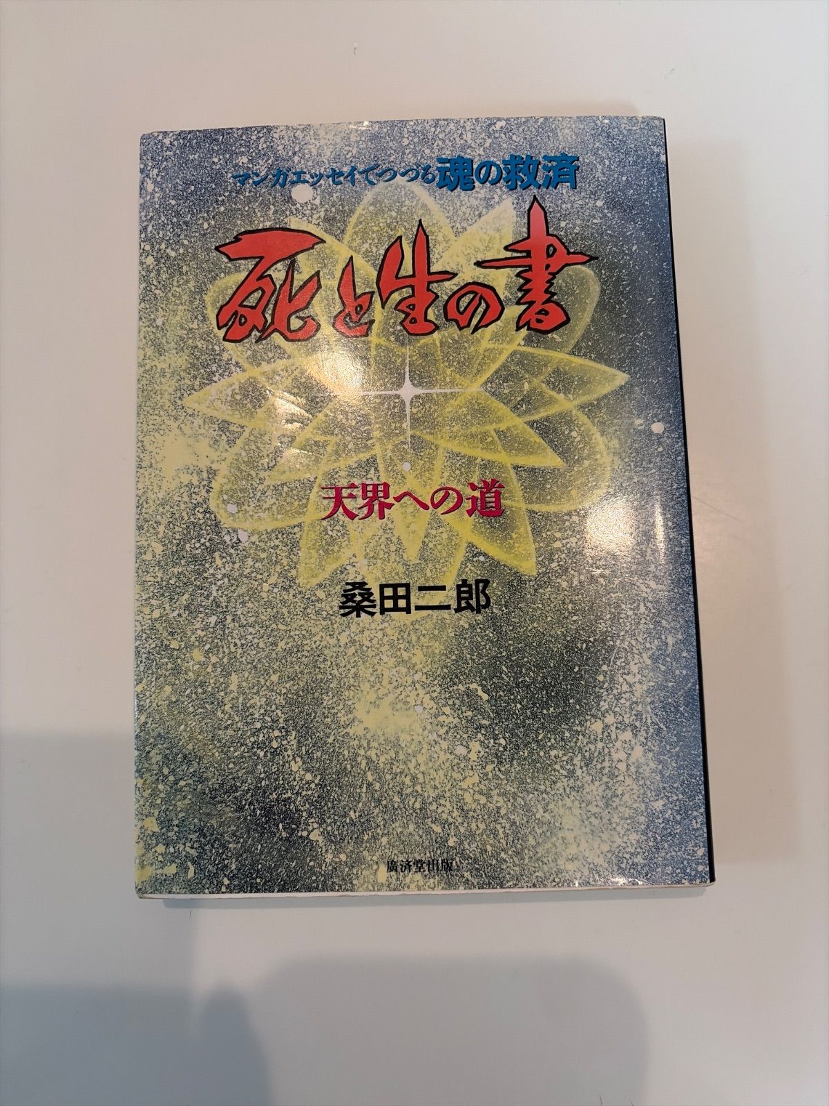 マンガエッセイでつづる魂の救済　死と生の書天界への道　桑田二郎