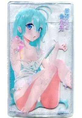 [Used] Storage/Portable Item [Single Item] Sparkling Erio Card Case “Denpa Onna to Seishunsei Danshi Premium Box” Dengeki G's Magazine 2011/9 Edition Special Edition Dengeki G's Festival! Vol.22 Appendix