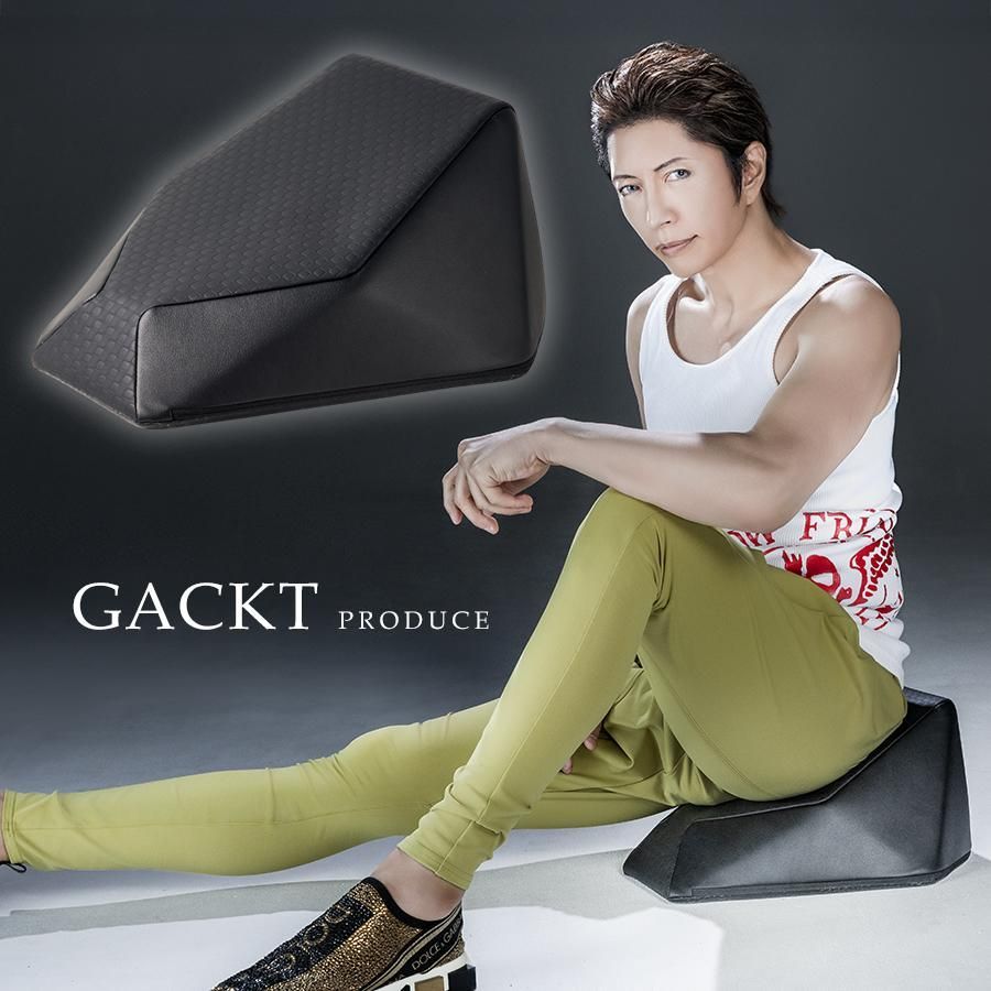 【開封済・未使用品】エクストラクッション GACKTプロデュース スタイルアップ 骨盤 柔軟 振動マシン 2449