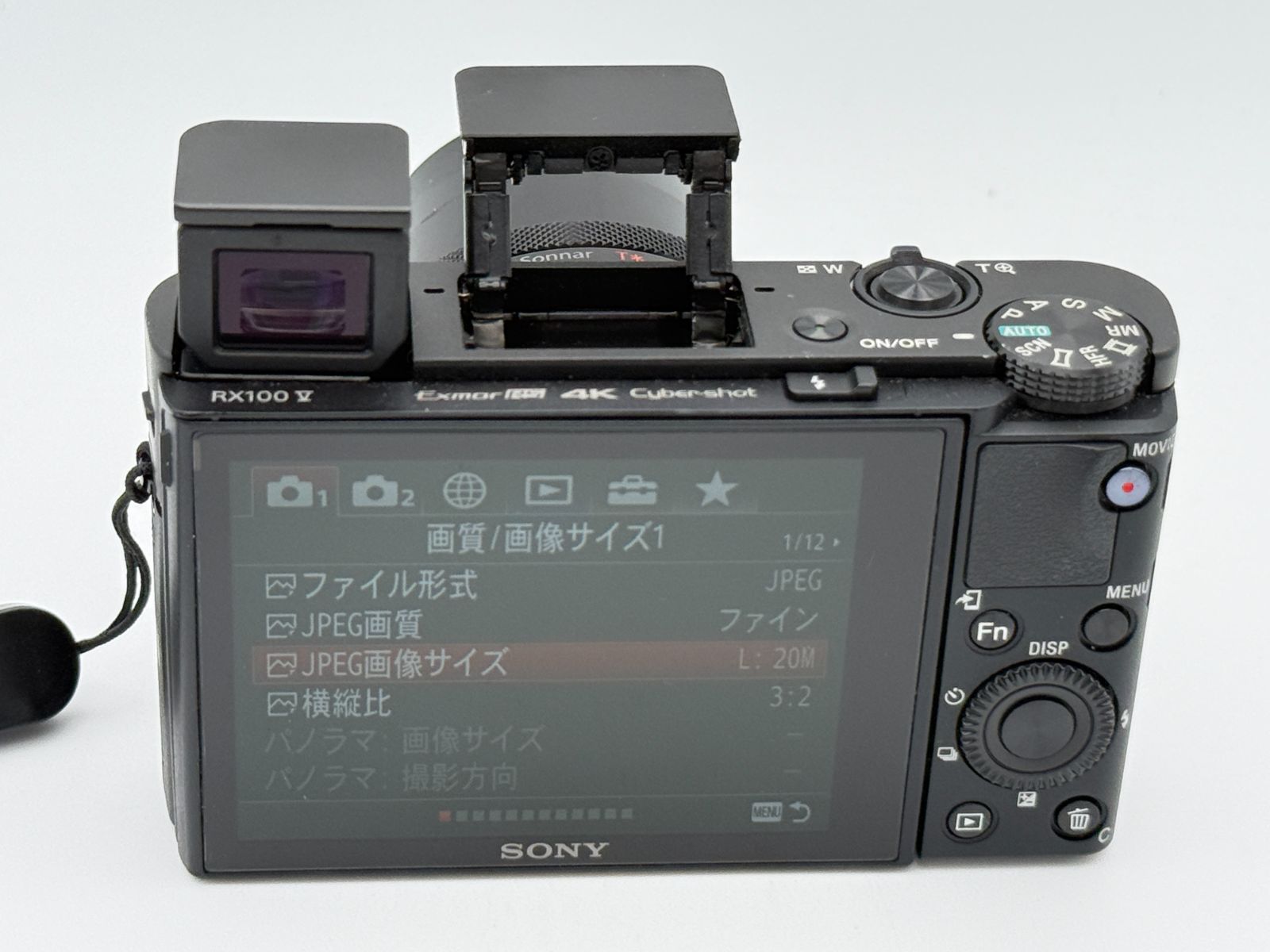 良品/オマケ付】SONY CyberShot RX100V(DSC-RX100M5A) ソニー