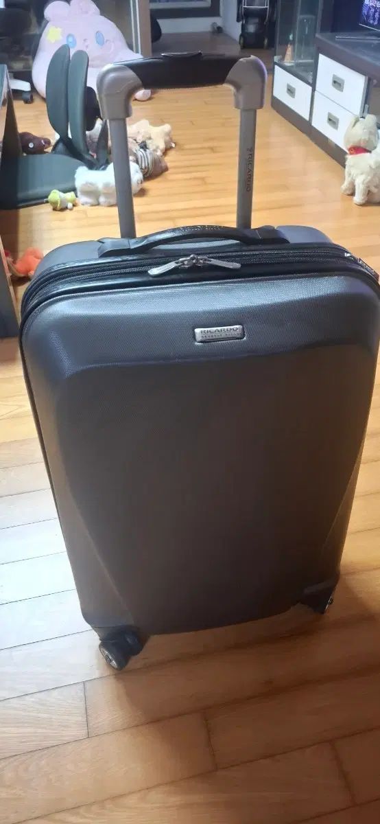 RICARDO(リカルド) HARD(ハード)ケース(ケース) 旅行カバン(旅行カバン) 20インチ(インチ) 機内用 6,215円