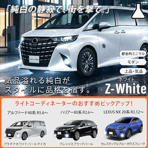 H★L1B フォグランプ 爆光 13500lm ホワイト 純正 交換用バルブ フォグ 後付け 車検対応 40系 アルファード ヴェルファイア ハイエース 200系 f5e2c162