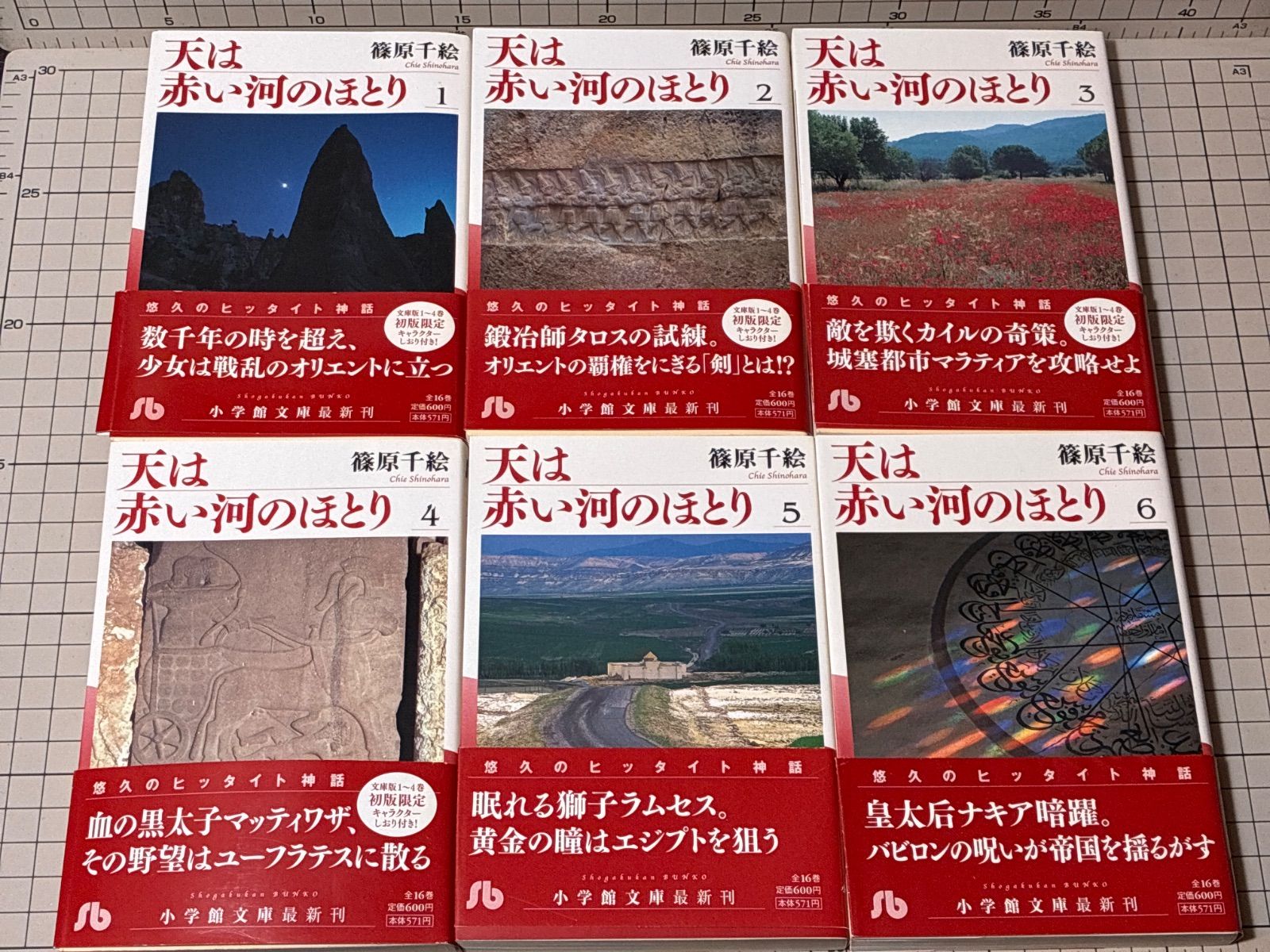 天は赤い河のほとり 全16巻完結セット 篠原千絵 小学館文庫 - Mercari