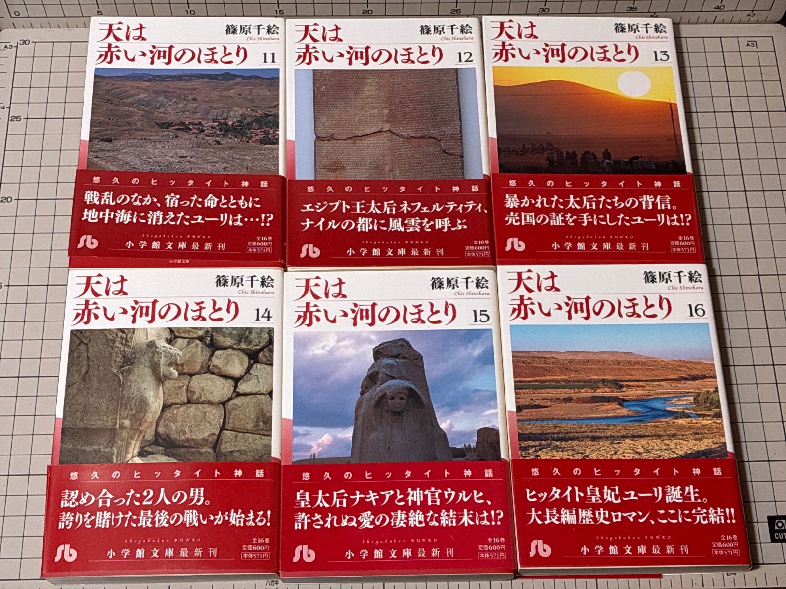 天は赤い河のほとり 全16巻完結セット 篠原千絵 小学館文庫 - Mercari