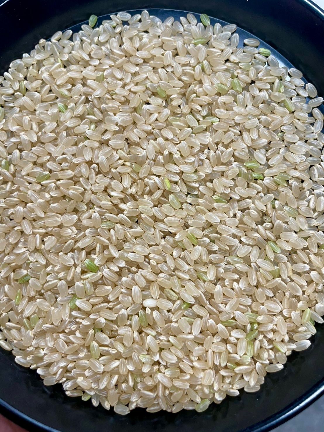 令和8年産 あきさかり 玄米30kg 淡路島産 - メルカリ