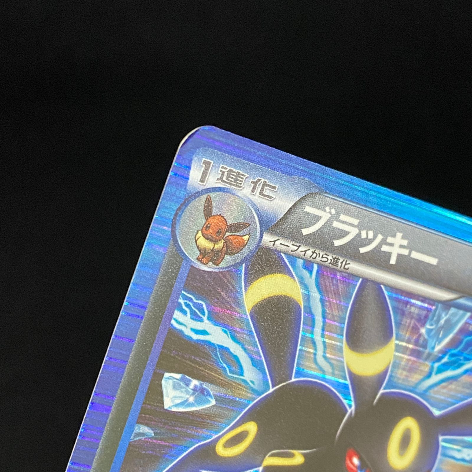 ポケモンカード ポケカ ブラッキー R BW8-031 051 拡張パック