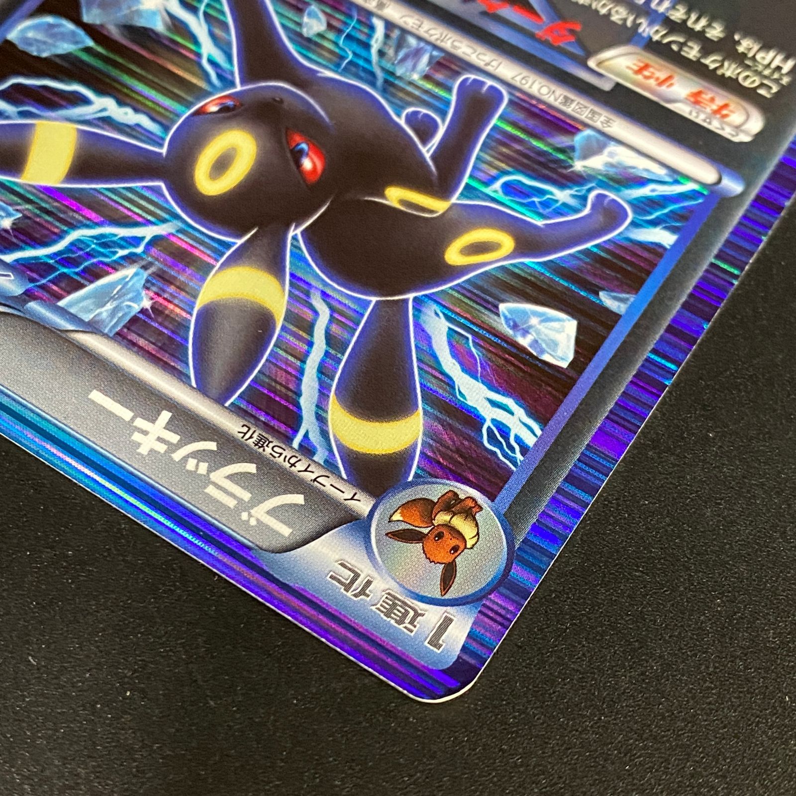 ポケモンカード ポケカ ブラッキー R BW8-031 051 拡張パック