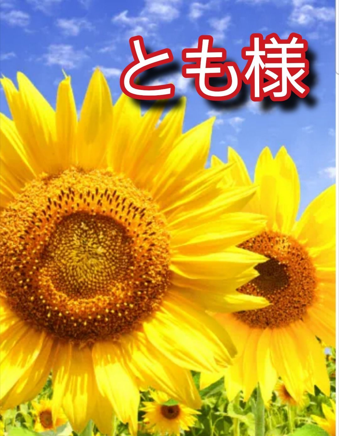 ブックカバー　とも様