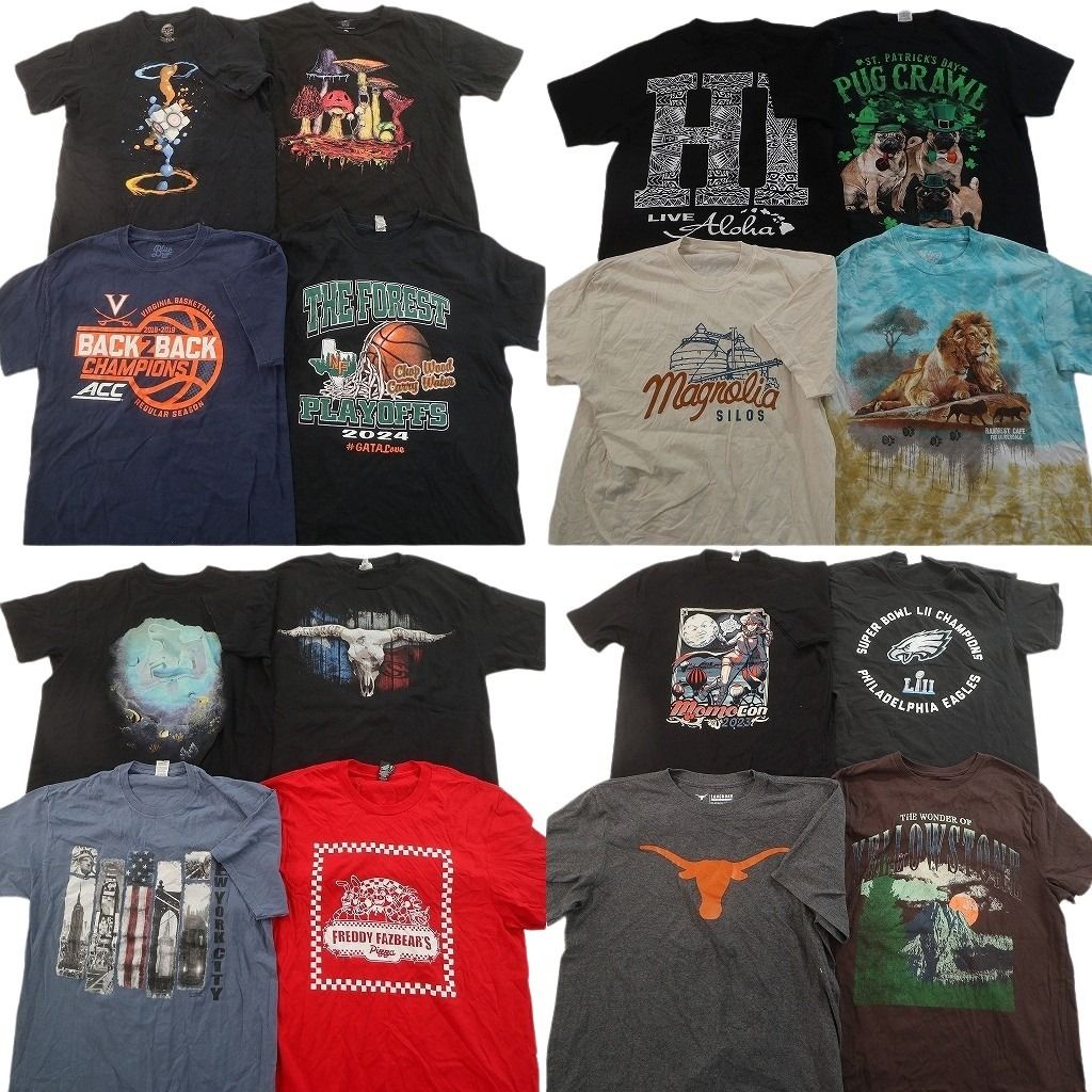 【オフィス用インテリア小物セット 10点まとめ売り／中古品】 古着卸 まとめ売り プリント Tシャツ 16枚セット ( メンズ M