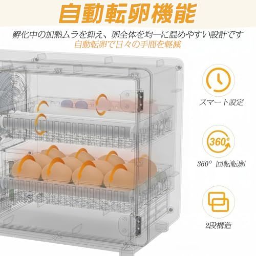 ☆新品☆孵卵器 24個用 自動転卵 自動補水 自動温湿度管理 恒温