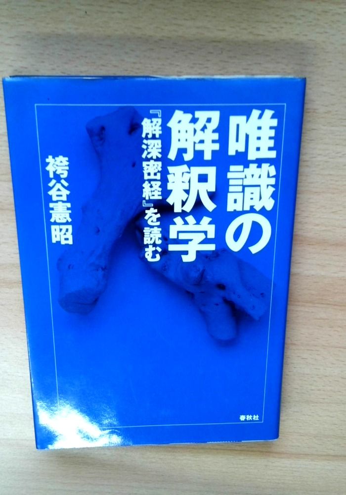 唯識の解釈学: 解深密教を読む