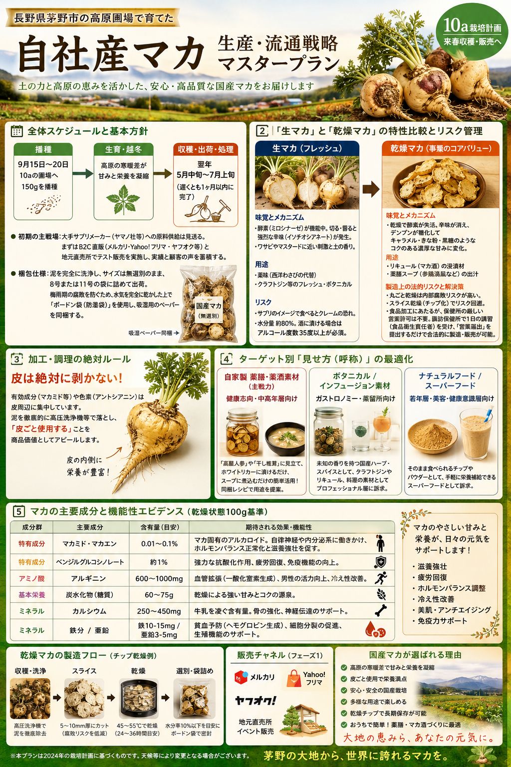 冬季越冬栽培　国産マカ種子　10a　120g 約5.6万粒