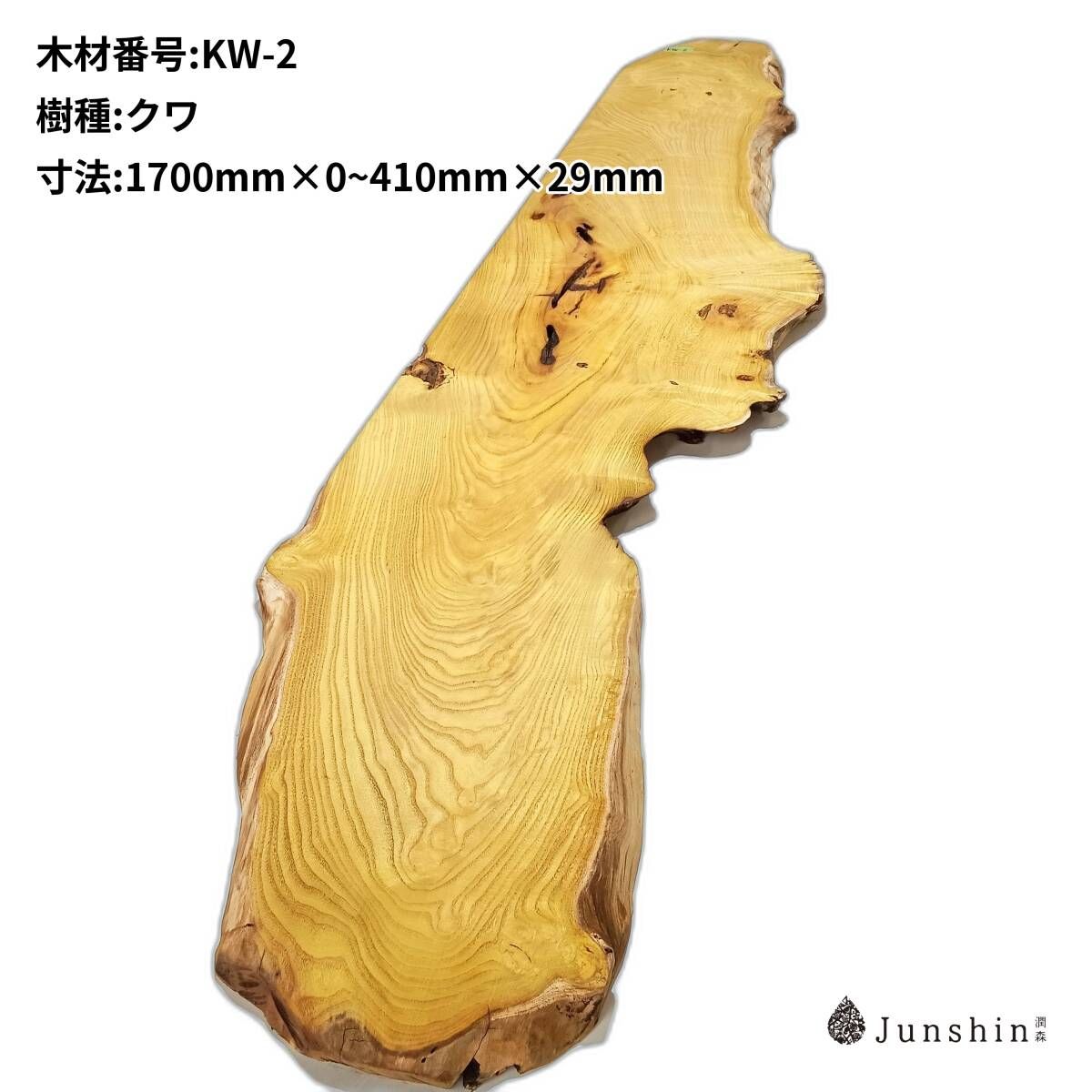 KW-2 クワ　桑 一枚板 1700mm×0~410mm×29mm 天然木 無垢材【Junshin -潤森銘木-】
