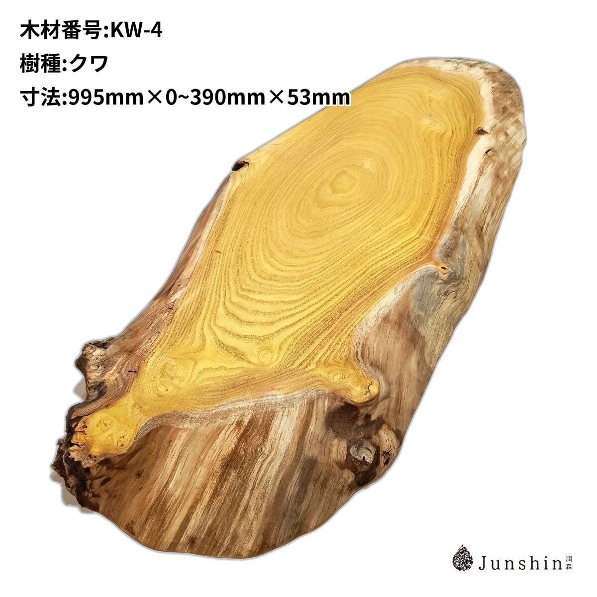 KW-4 クワ　桑 一枚板 995mm×0~390mm×53mm 天然木 無垢材【Junshin -潤森銘木-】