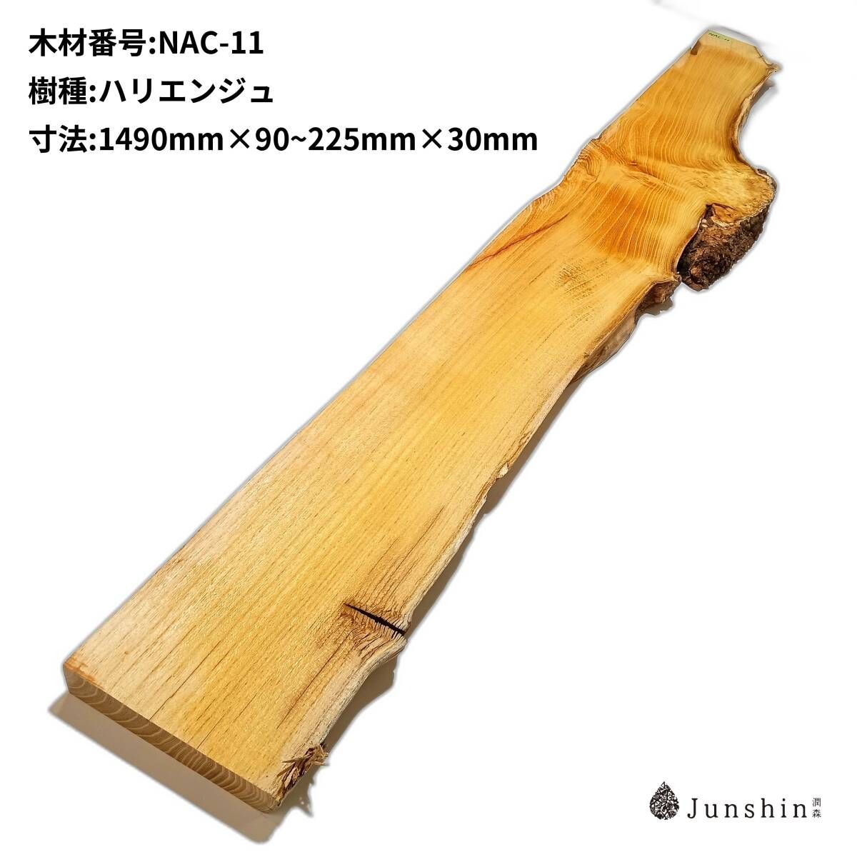 NAC-11 ハリエンジュ　ニセアカシア　ロビニア　瘤　バール 一枚板 1490mm×90~225mm×30mm 天然木 無垢材【Junshin -潤森銘木-】 10,087円