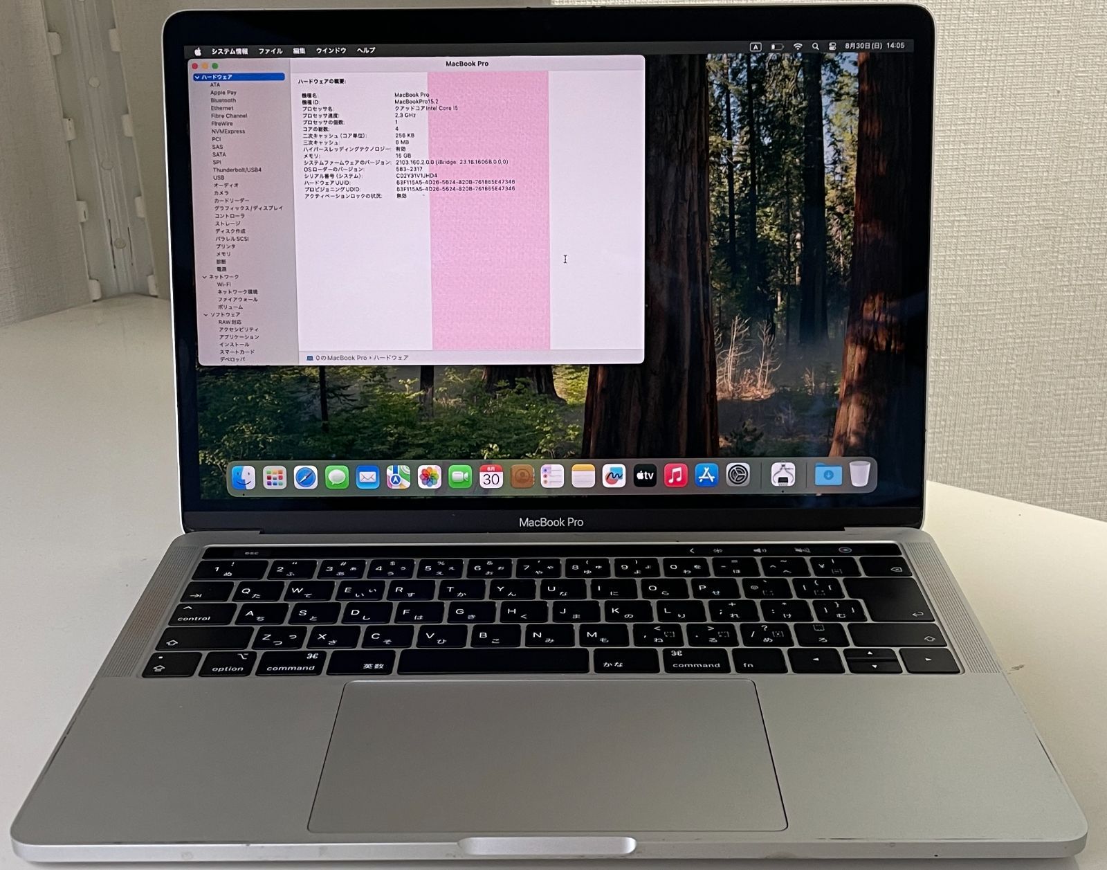 ジャンク】MacBook Pro 13