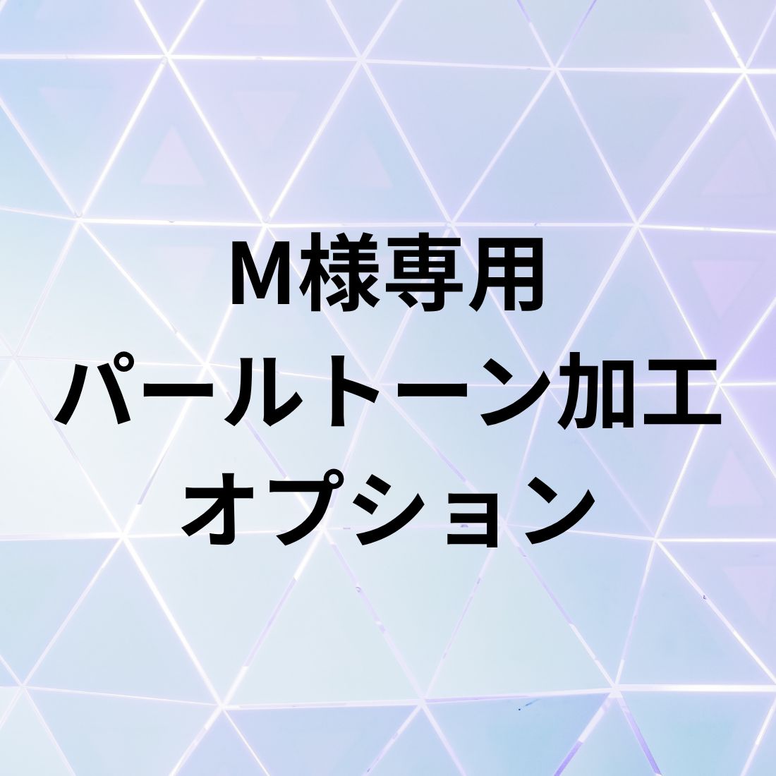 M様 専用 パールトーン加工 オプション