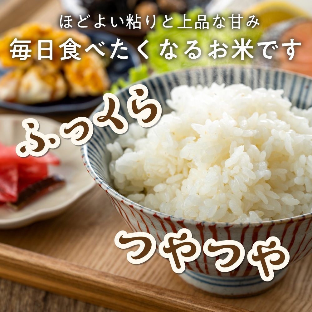 令和8年産 愛媛県産 コシヒカリ 20kg 新米 白米 - メルカリ