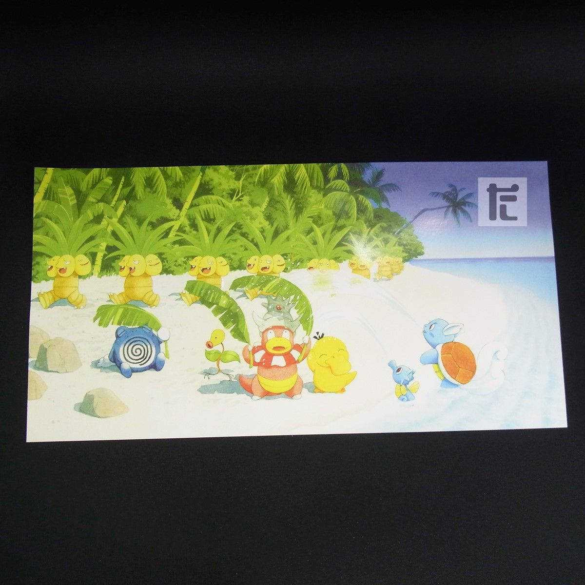 サザンアイランド トロピカルアイランド 海辺 / TA25394 - メルカリ