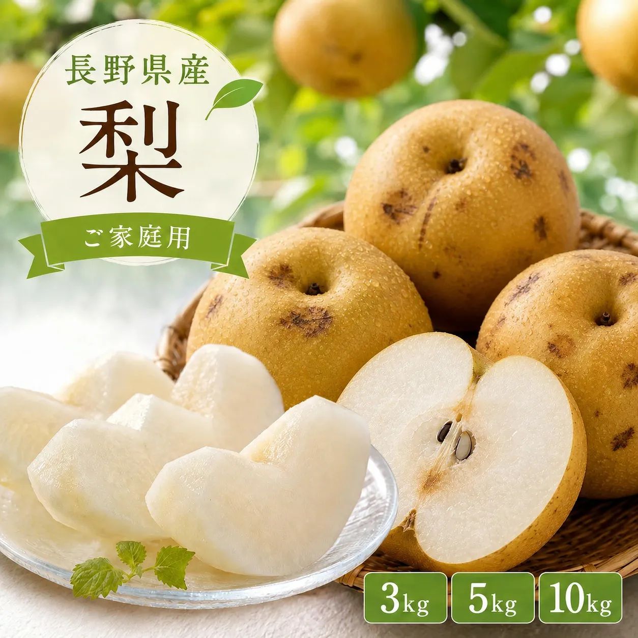 長野県産 梨 5kg ご家庭用 訳あり 送料無料 - メルカリ