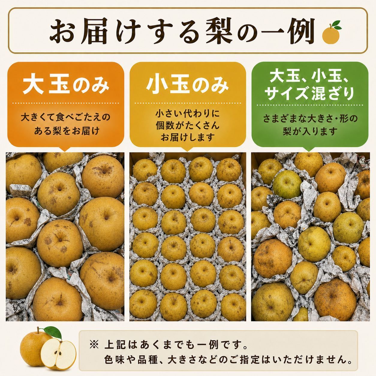 長野県産 梨 5kg ご家庭用 訳あり 送料無料 - メルカリ