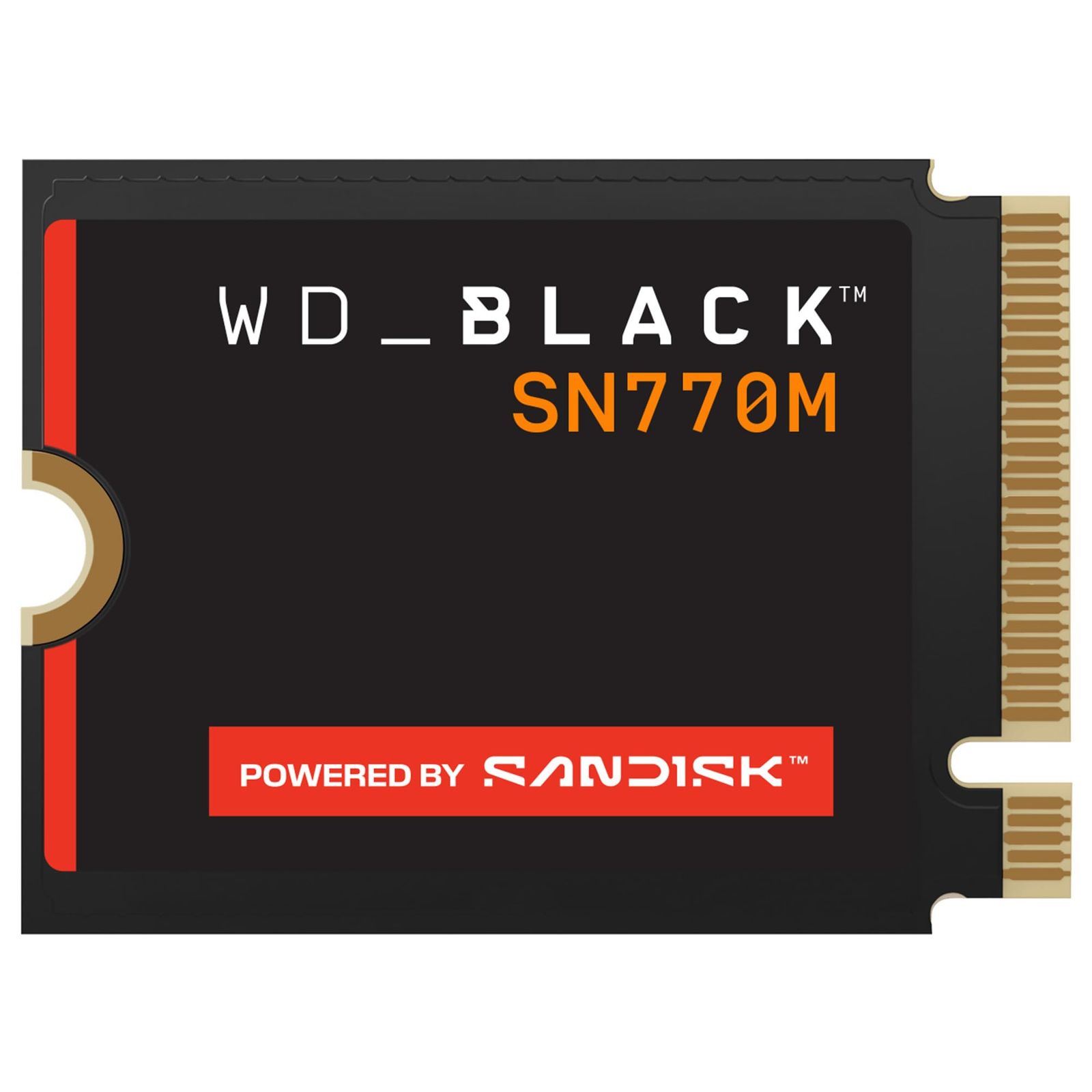 WDS100T3X0G [WD_BLACK SN770M NVMe SSD（1TB M.2(2230) PCIe Gen4 x4 NVMe 600TBW 5年保証）]