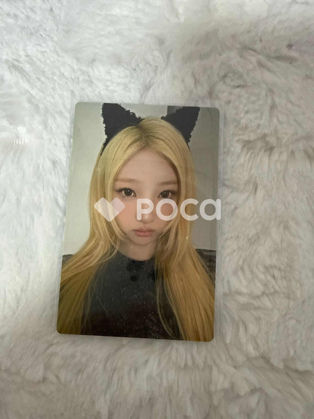 MAMAMOO 2026 ワールド TOUR [4ward] ランダム TRADING CARD MAMAMOO