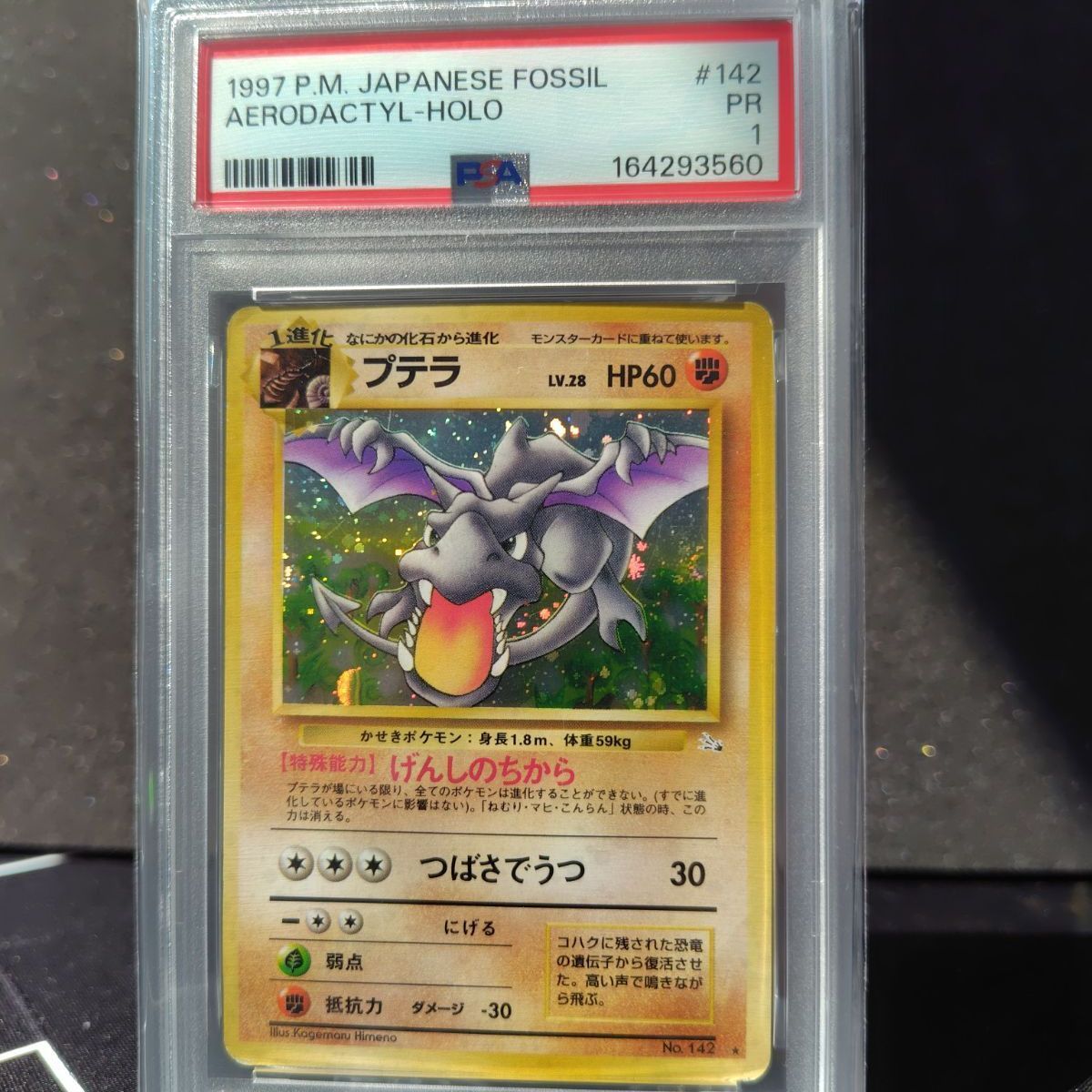 プテラ　旧裏 psa1