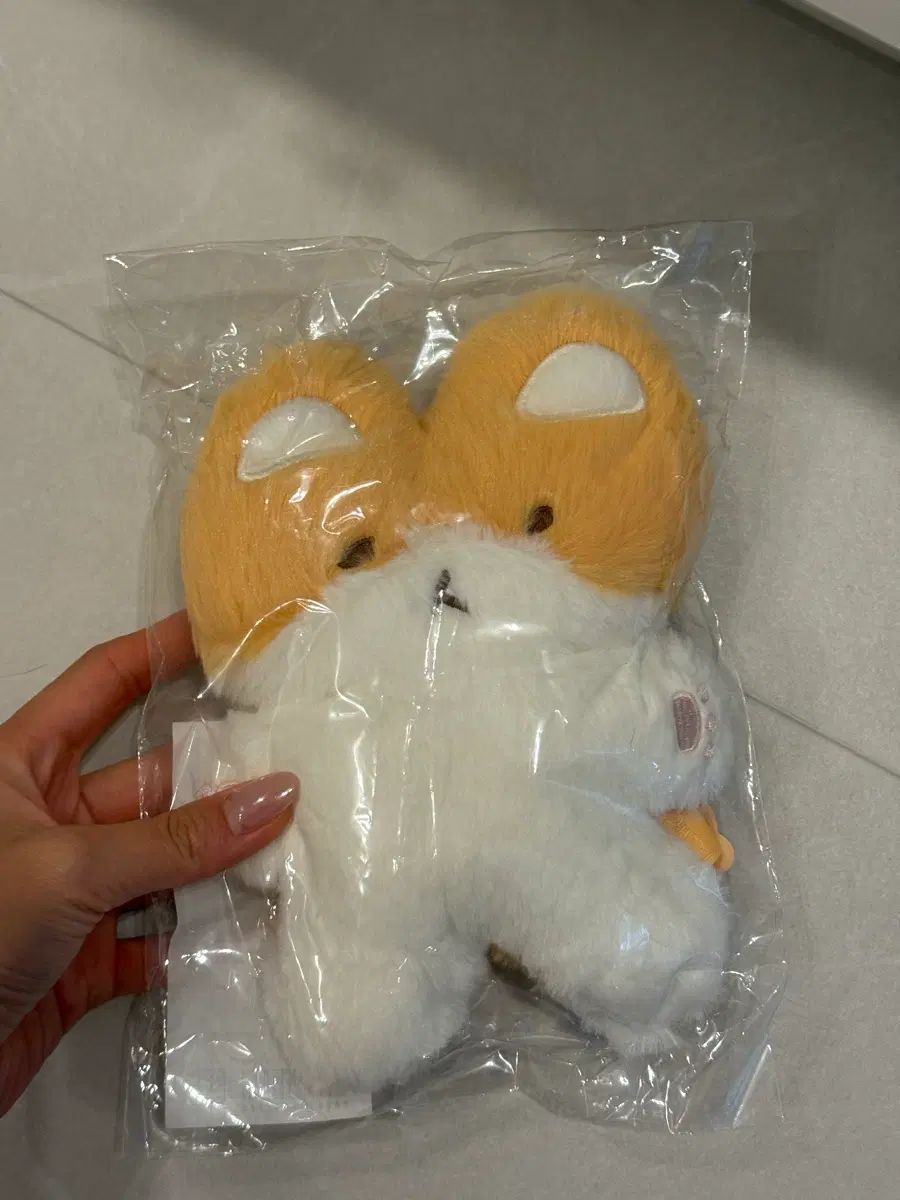 (未開封) ベクヒョン(BAEKHYUN) トレギ TEOLAEGI 麻(マ) マグネット 出品