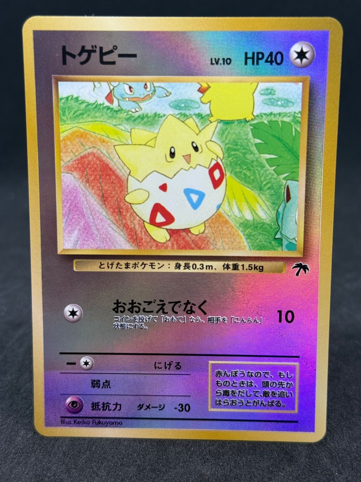 トゲピー　サザンアイランド　旧裏　ポケモン 6,755円