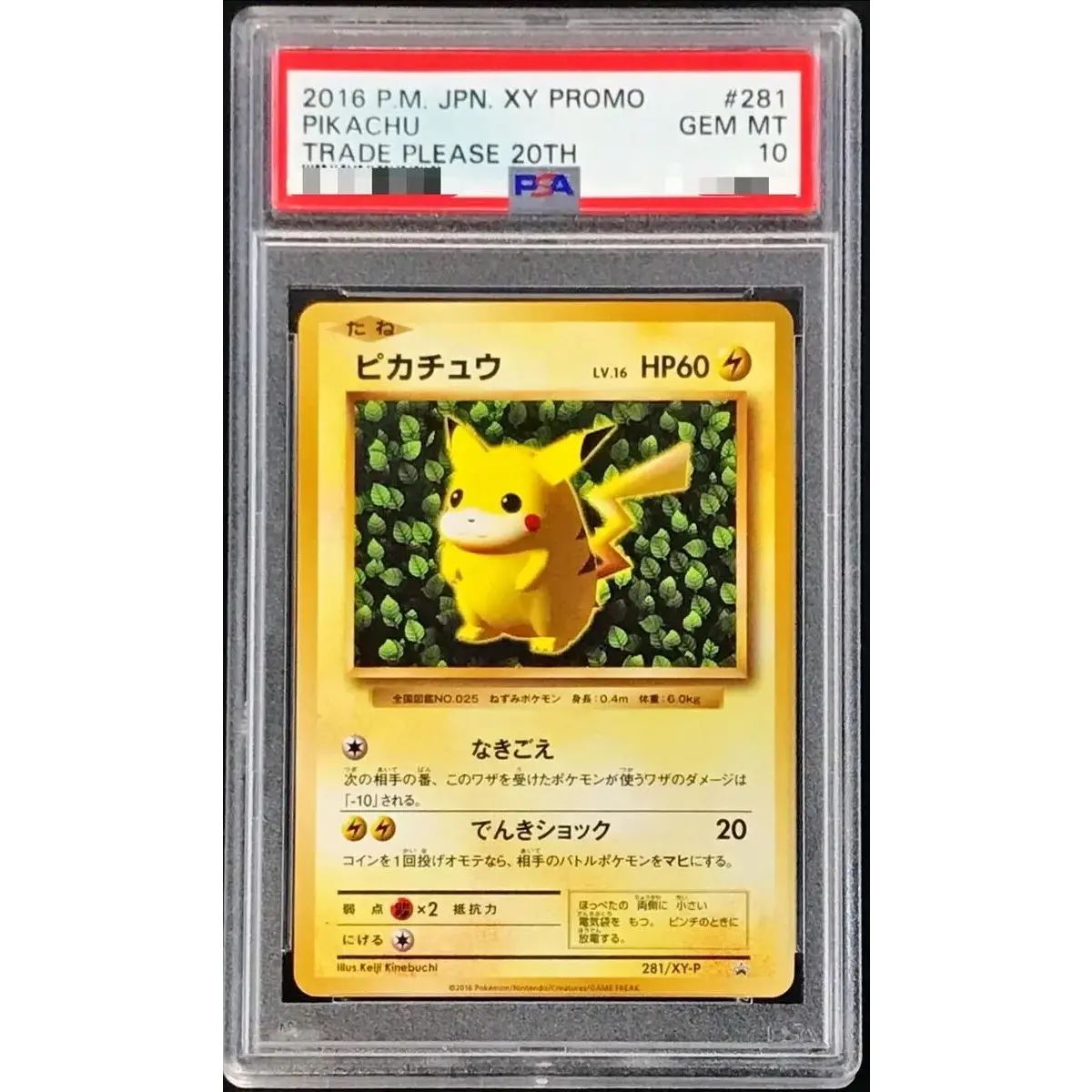 〔※状態難/PSA10鑑定済〕ピカチュウ【P】{281/XY-P}