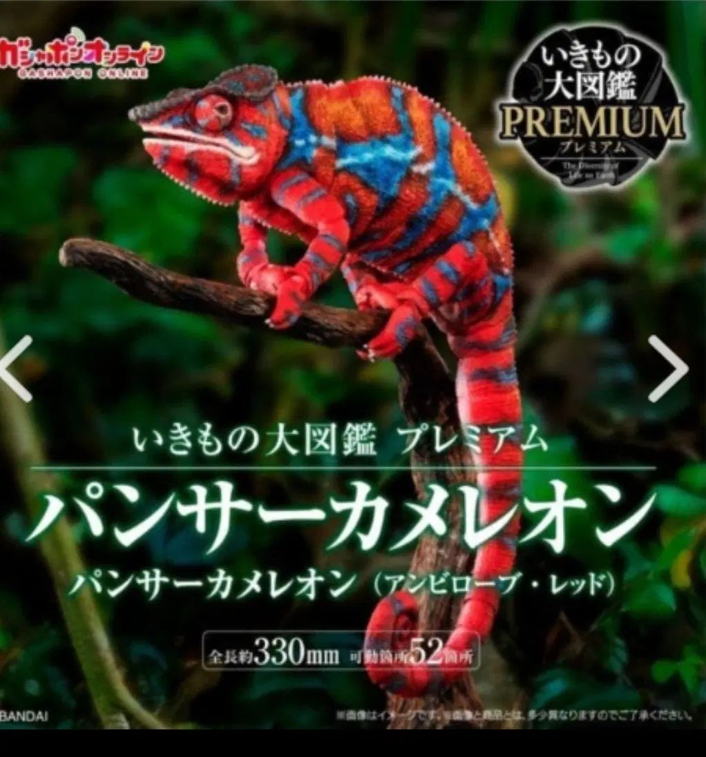 バンダイ いきもの大図鑑プレミアム パンサーカメレオン (アンビロビー レッド)