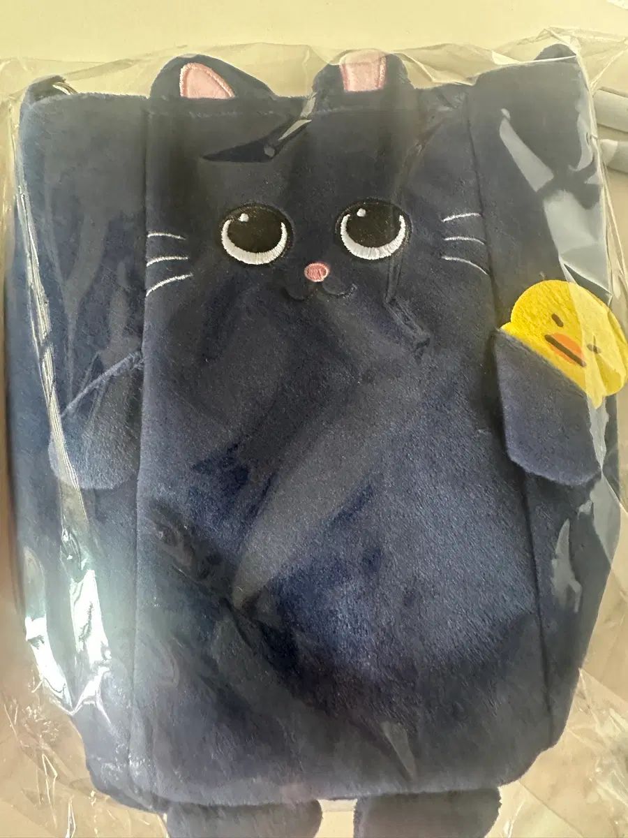 RIIZE（ライズ）ウォンビン(WONBIN) ペンライトケース 未開封 新品