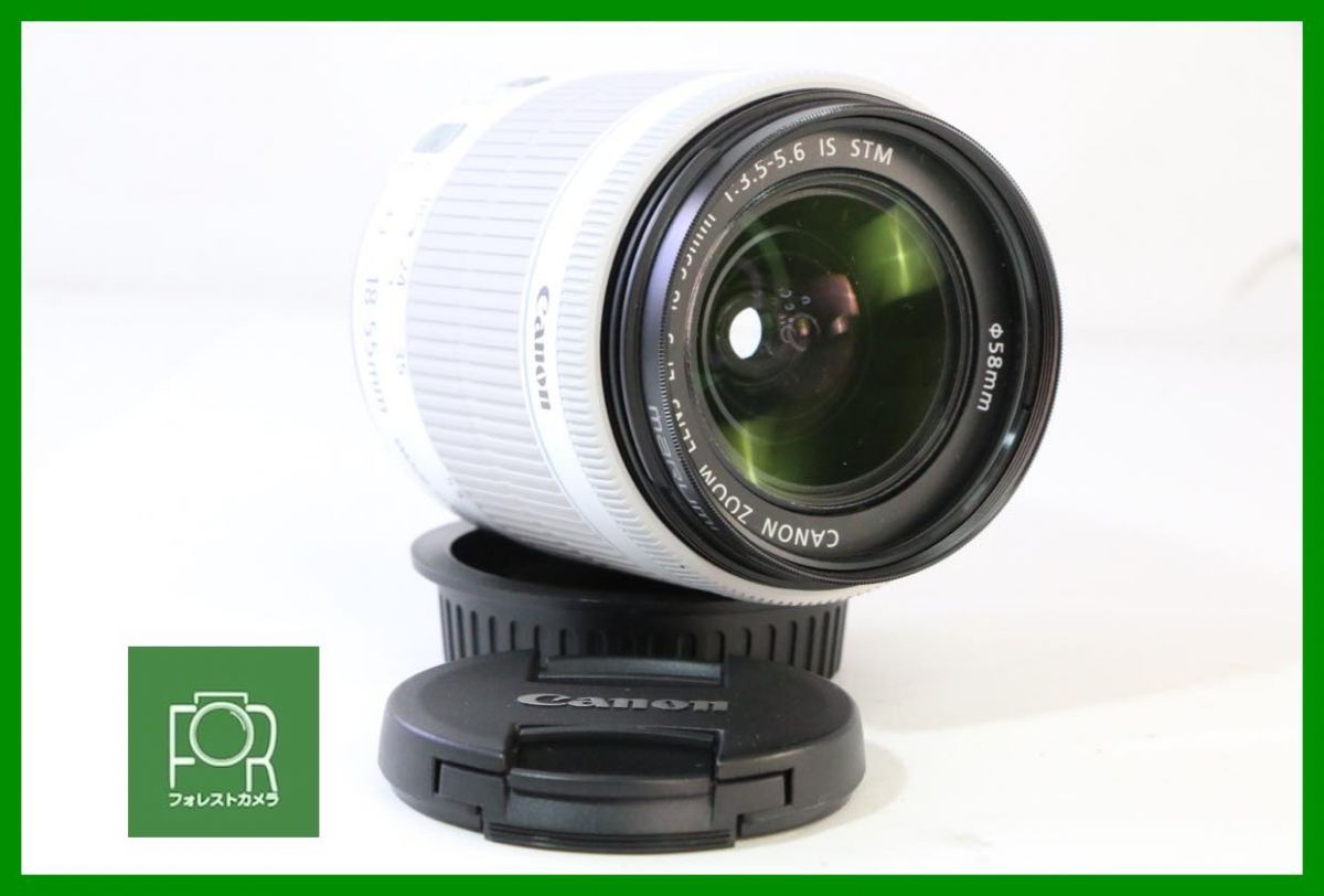 【動作保証・点検済】極上品■Canon EF-S 18-55mm F3.5-5.6 IS STM ホワイト 425209002163■前後キャップ付き■AAA467