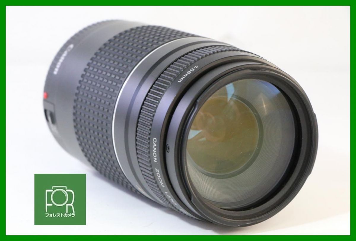 【動作保証・点検済】良品■CANON ZOOM LENS EF 75-300mm F4-5.6 III USM■AH203