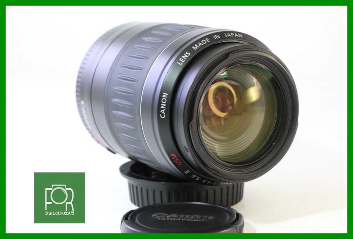 【動作保証・点検済】良品■CANON EF 55-200mm F4.5-5.6 II USM■前後キャップ付き■AN151