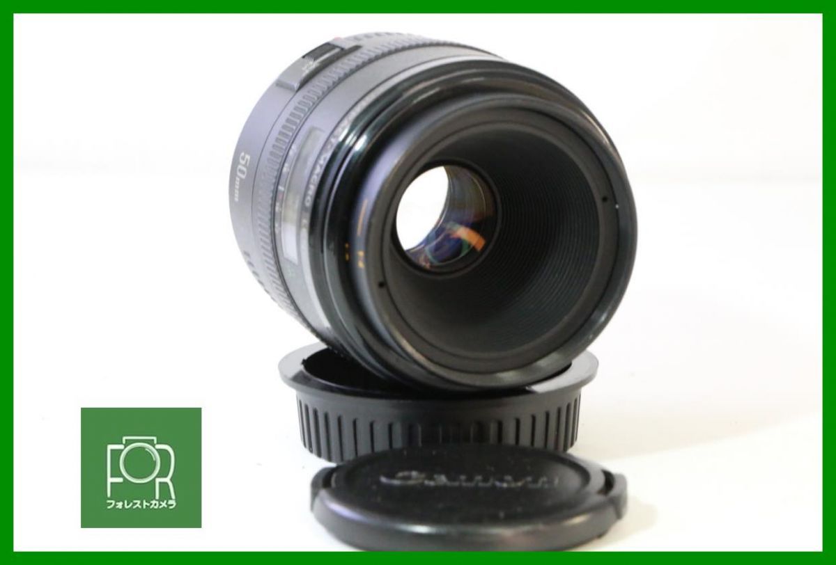 【動作保証・点検済】良品■キヤノン Canon COMPACT-MACRO EF 50mm F2.5■前後キャップ付き■AN2108