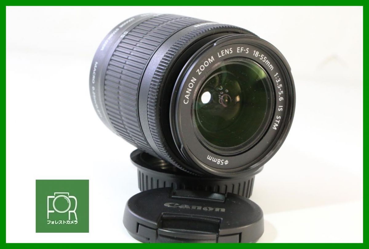 【動作保証・点検済】良品■Canon EF-S 18-55mm F3.5-5.6 IS STM 244204016915■AAA470
