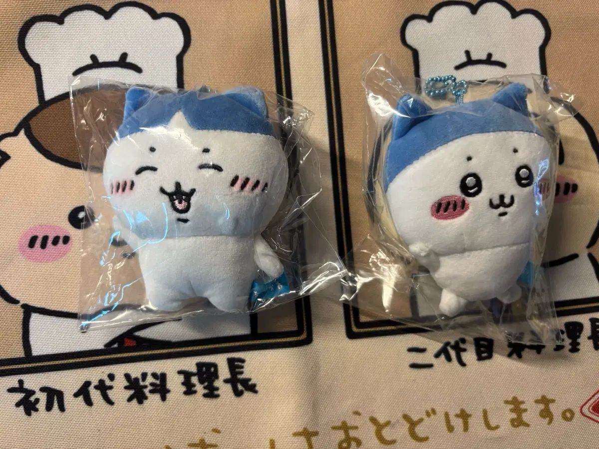 未開封 前髪 ハチワレ / スポーツ ウール ハチワレ セット 7,455円