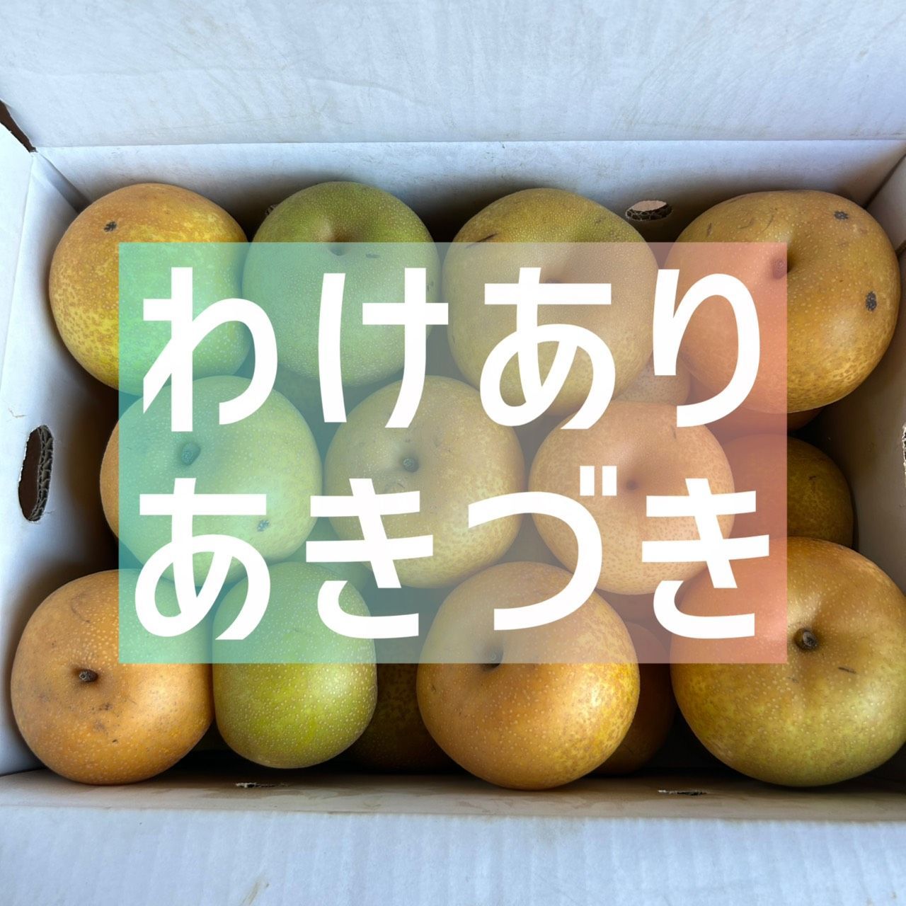 食品 千葉県産 梨 訳あり品10キロ