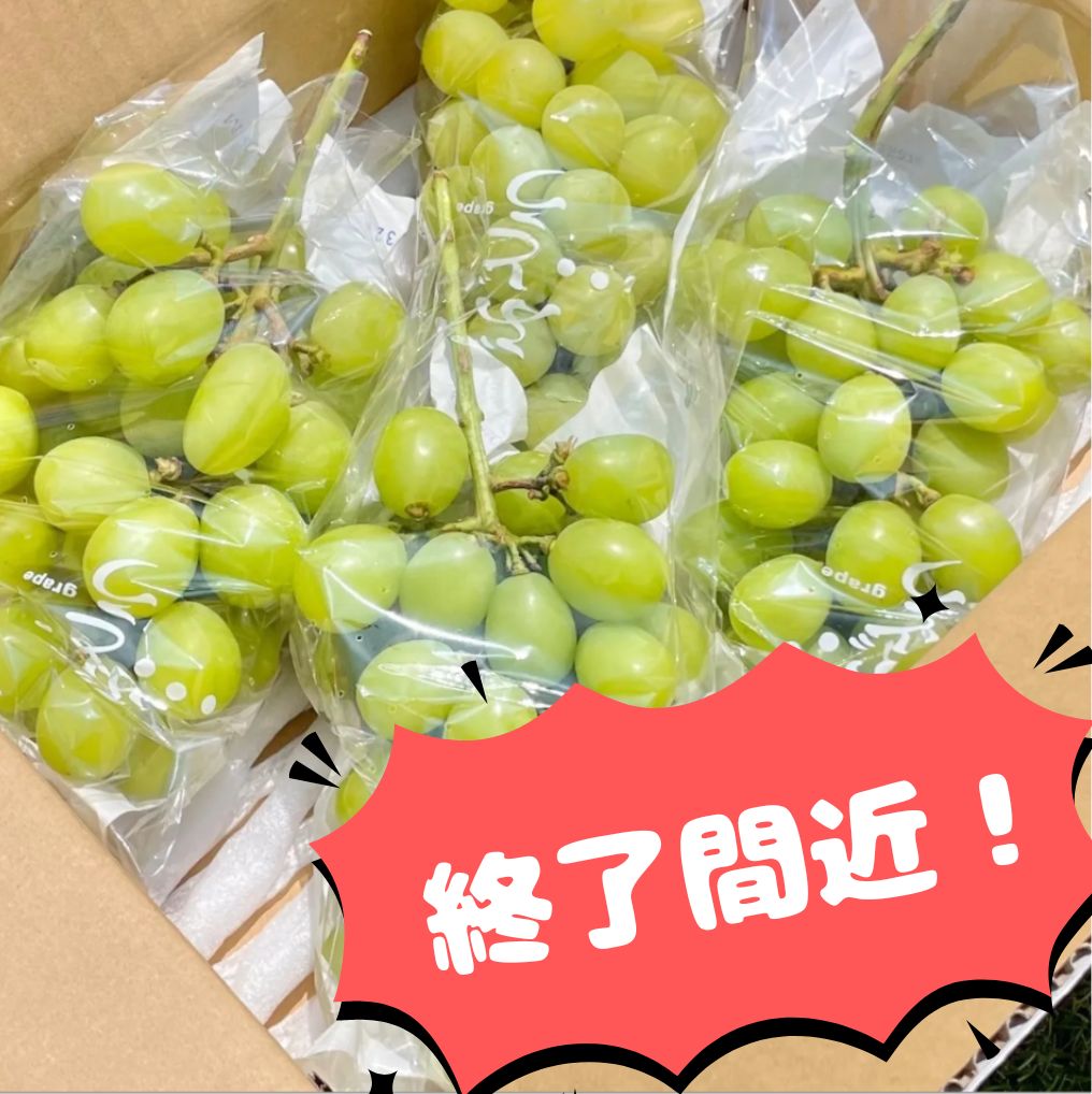 食品 ゆゆさん専用巨峰粒6キロです。