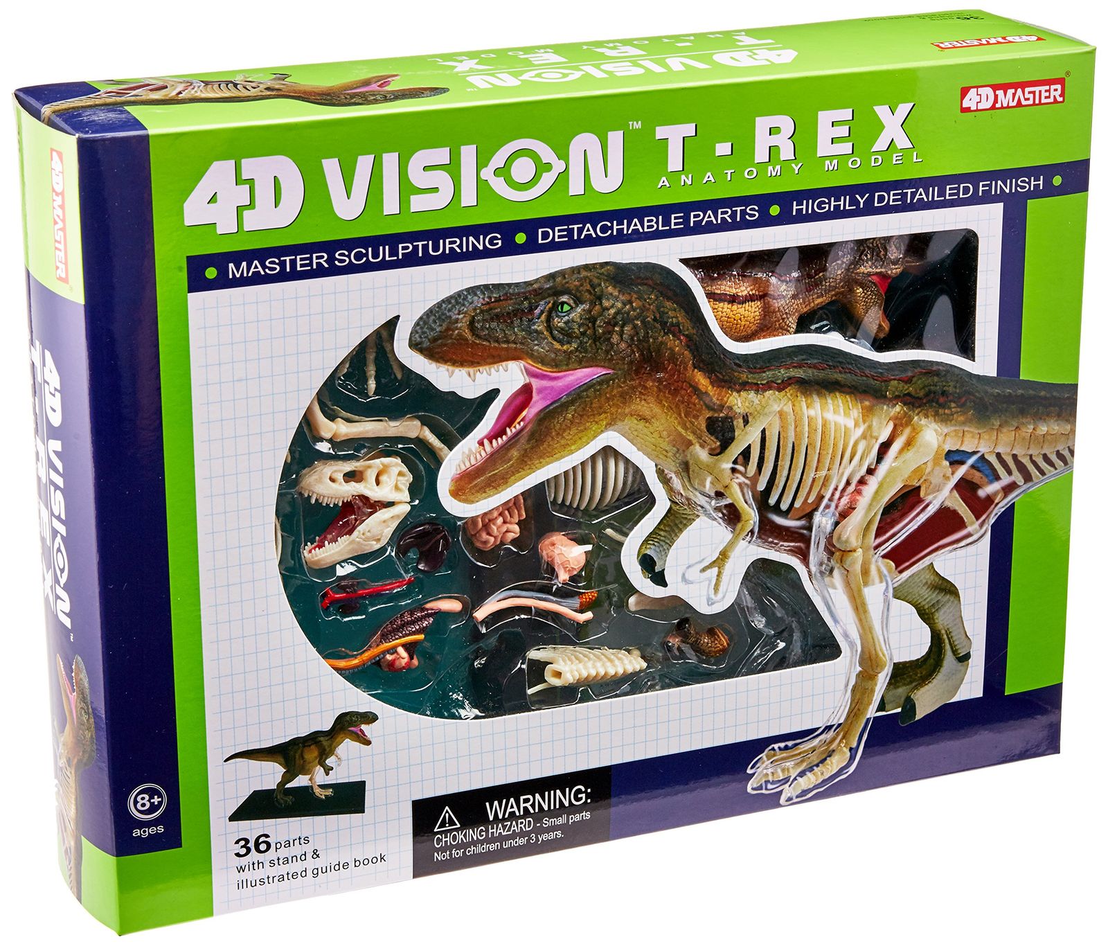 恐竜 T-Rex 動物 解剖 骨 模型 立体 モデル ４D 教材 入学祝い Famemaster