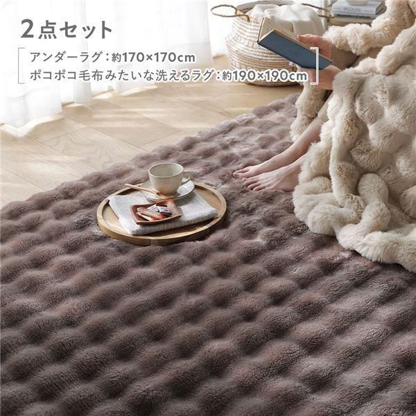 2点セット 〔 アンダーラグ 約170×170cm グレージュ + ポコポコ毛布みたいな洗えるラグ 約190×190cm モカ 〕