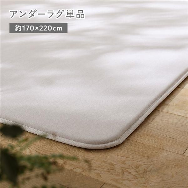 アンダーラグ 単品 約170×220cm グレージュ 洗える 防音 防ダニ 特殊滑り止め