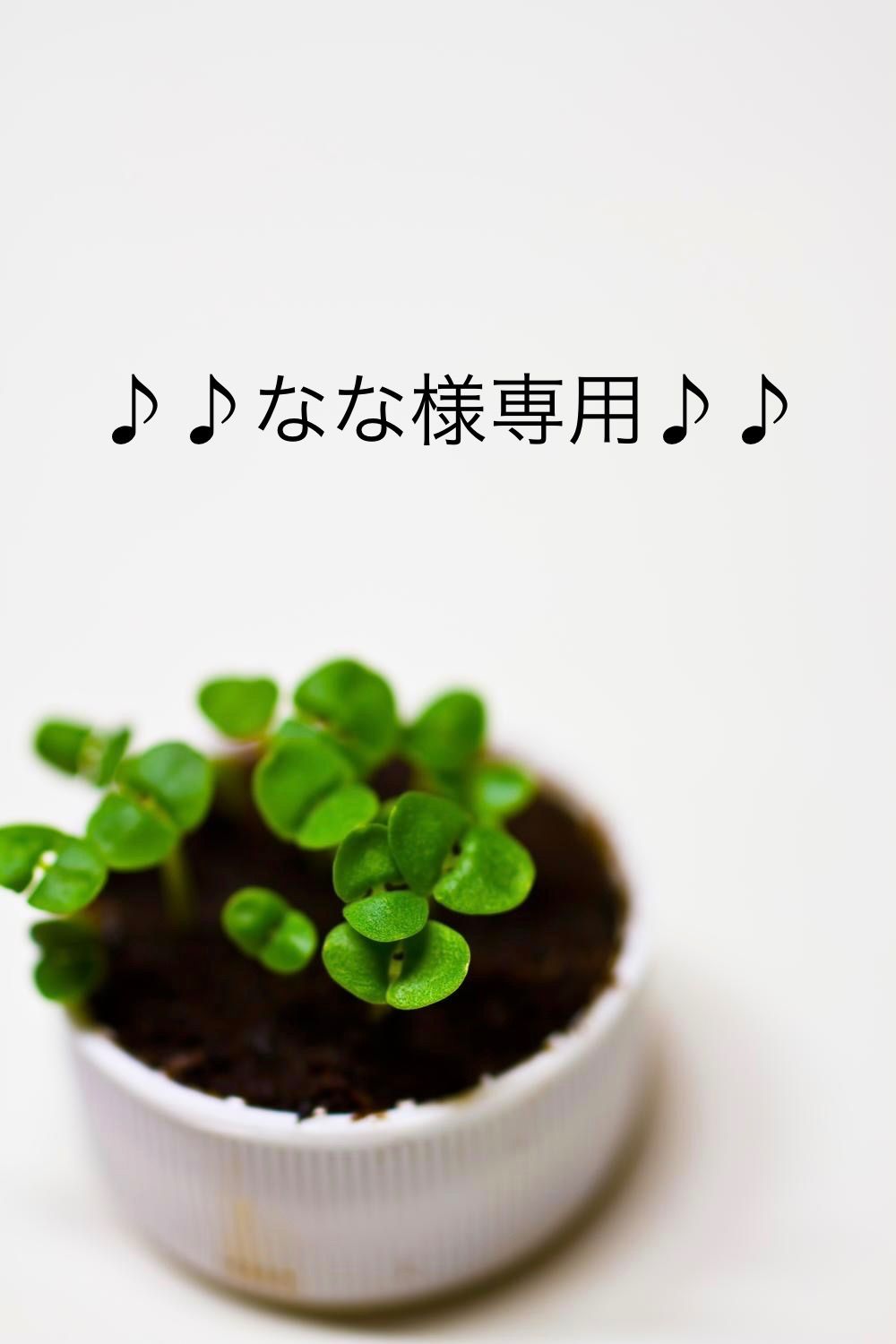 ♪♪なな様専用♪♪