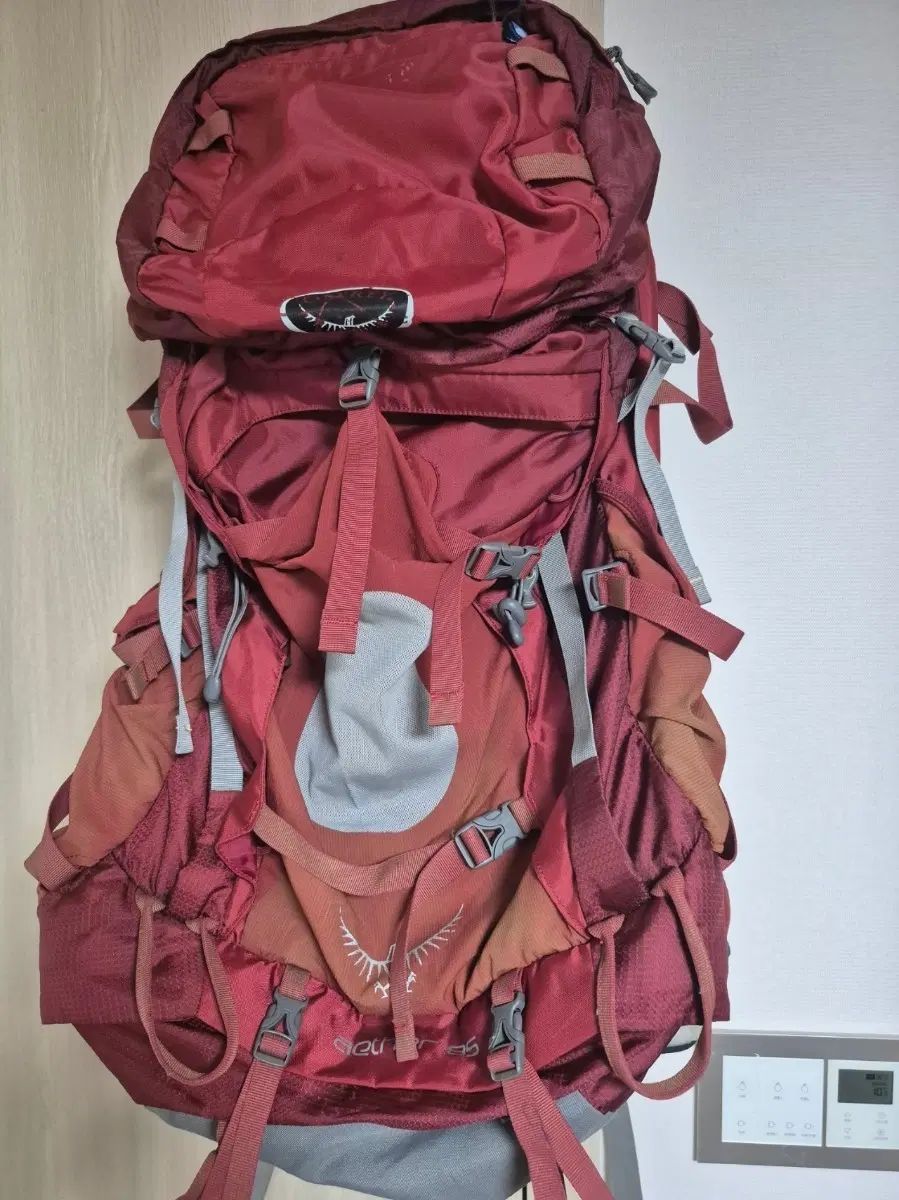 オスプレイ(OSPREY) 正規品 登山リュック 85リ (LEE) 出品 13,982円