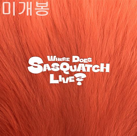 ジオパック （ Zior Park ） ー Where Does Sasquatch Live ? 未開封 CD
