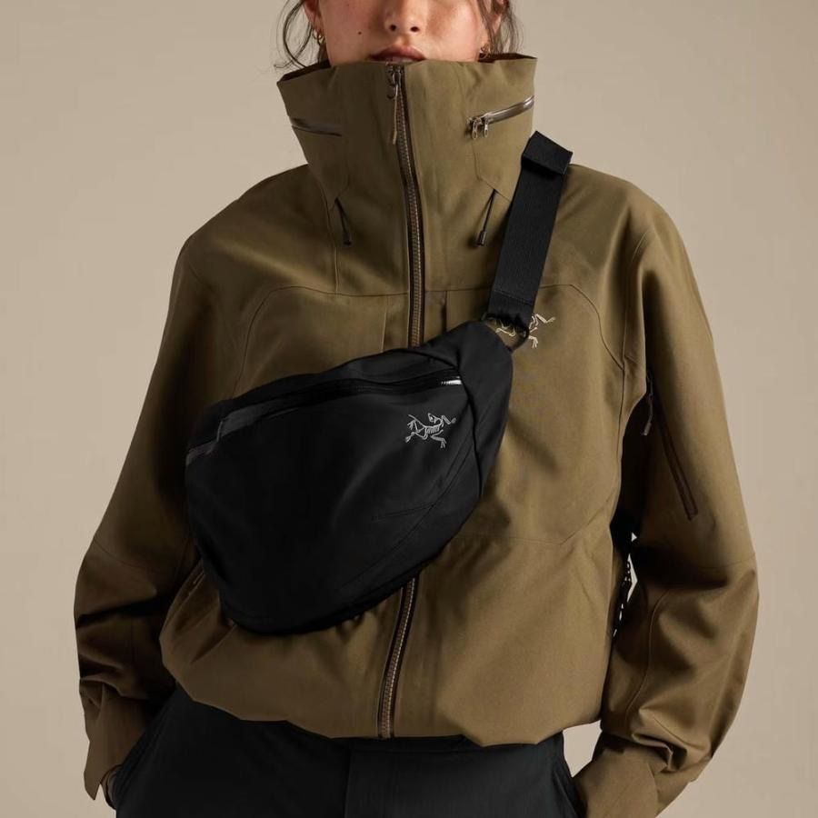 確実正規品 新品 ARC